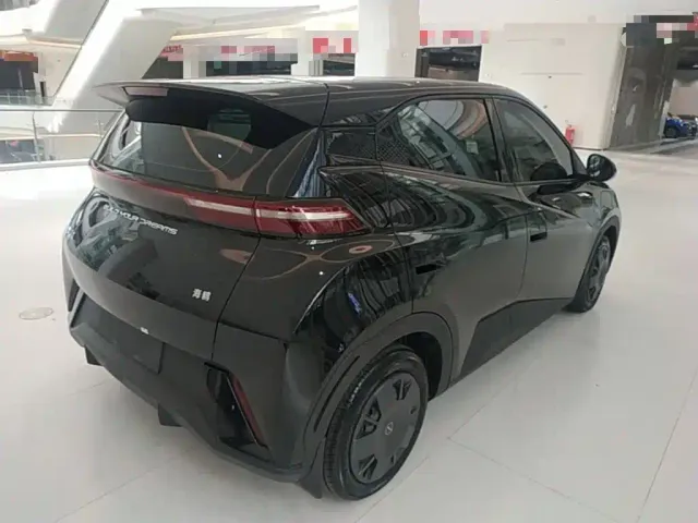 BYD Seagull — Фото автомобиля 6