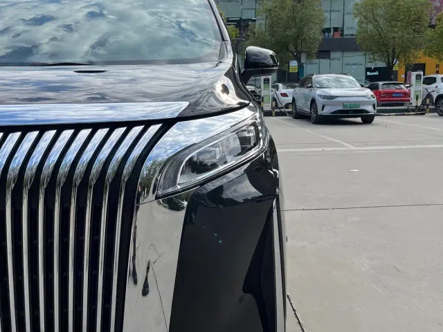 Wey Alpine — Фото автомобиля 23