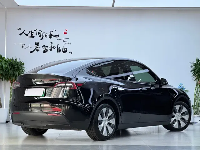 Tesla Model Y — Фото автомобиля 3