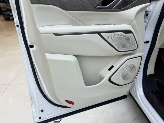 Wey Alpine — Фото автомобиля 18