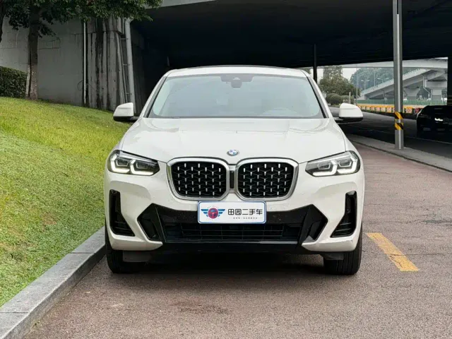 BMW X4 — Фото автомобиля 2