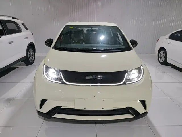 BYD Dolphin — Фото автомобиля 2