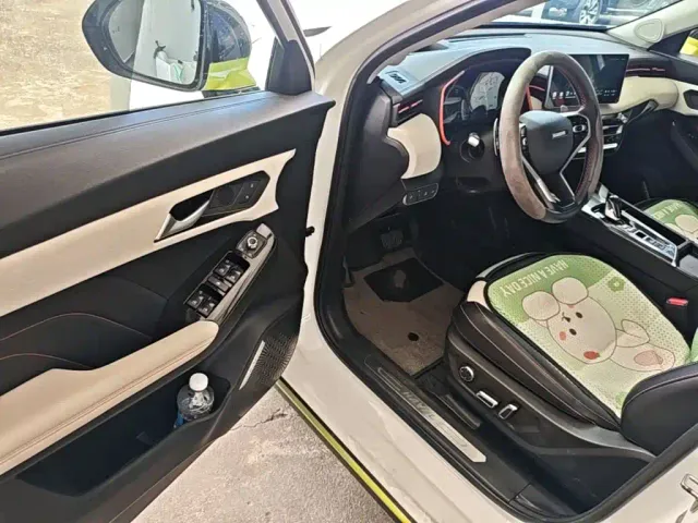 Haval Chitu — Фото автомобиля 15