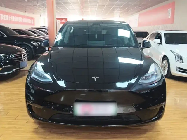 Tesla Model Y — Фото автомобиля 2