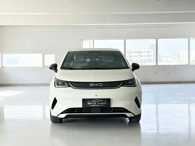 BYD Dolphin — Фото автомобиля 2