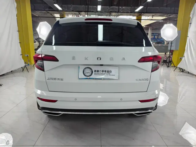 Skoda Karoq — Фото автомобиля 7