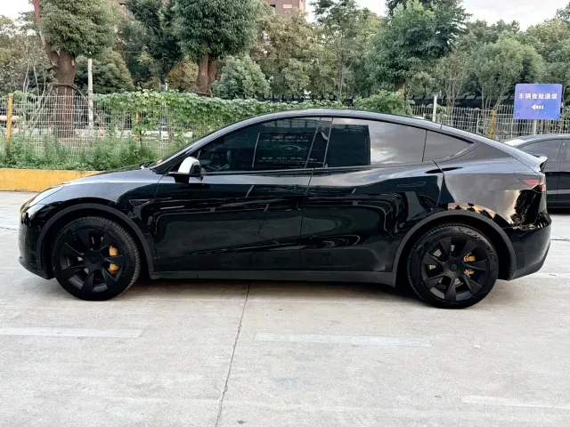 Tesla Model Y — Фото автомобиля 2