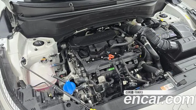 Kia Seltos New — Фото автомобиля 6