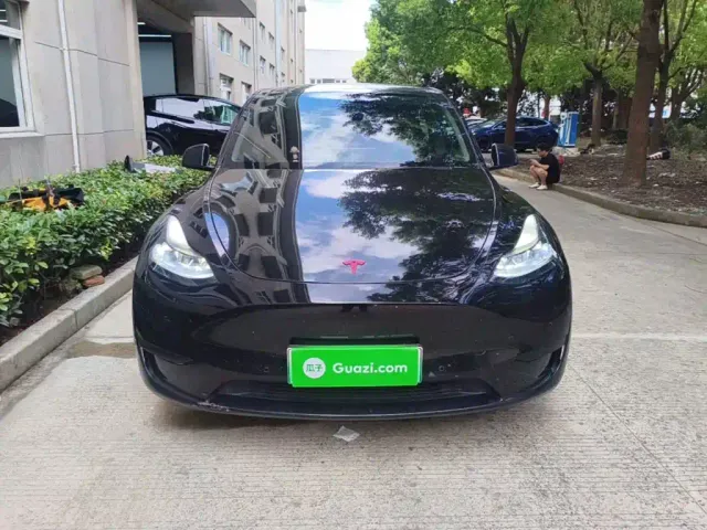 Tesla Model Y — Фото автомобиля 2