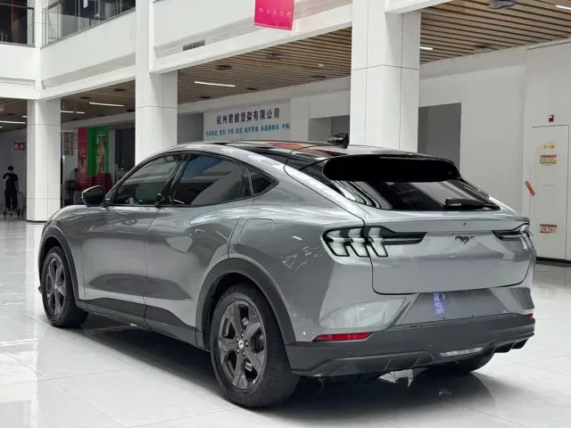 Ford Mustang Mach-E — Фото автомобиля 7
