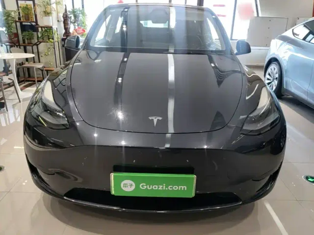 Tesla Model Y — Фото автомобиля 2