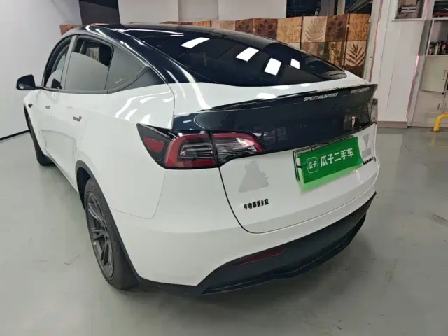 Tesla Model Y — Фото автомобиля 4
