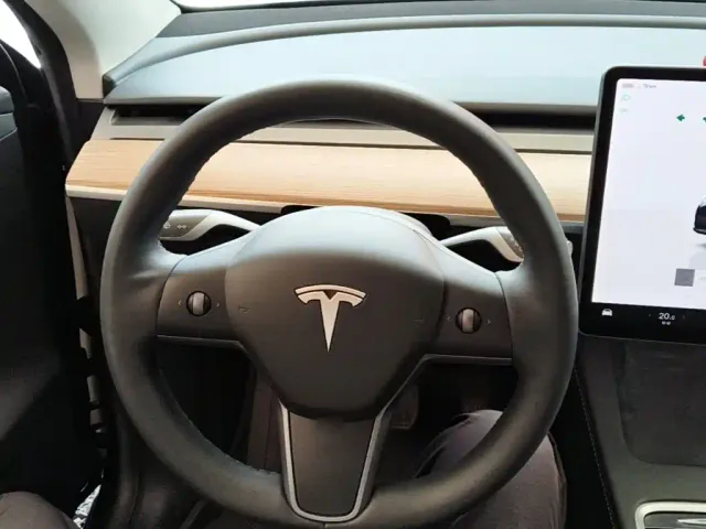 Tesla Model Y — Фото автомобиля 10