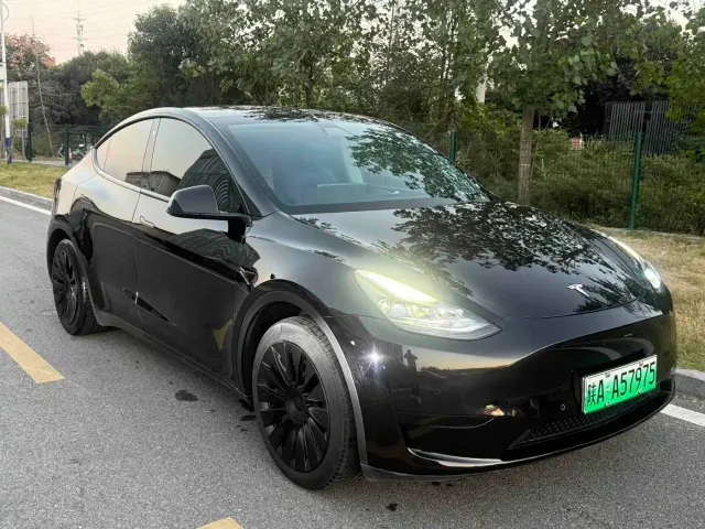 Tesla Model Y — Фото автомобиля 3
