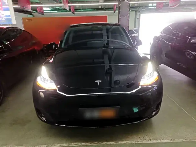 Tesla Model Y — Фото автомобиля 2