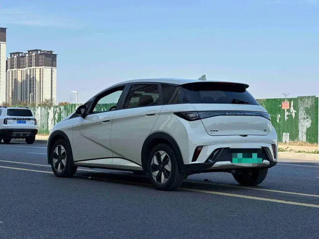 BYD Dolphin — Фото автомобиля 7