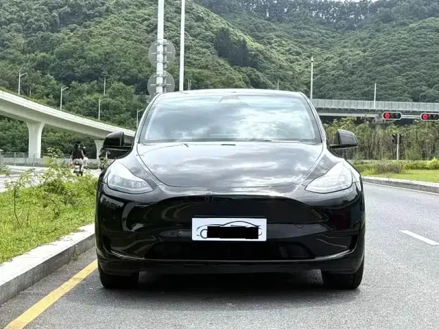Tesla Model Y — Фото автомобиля 2