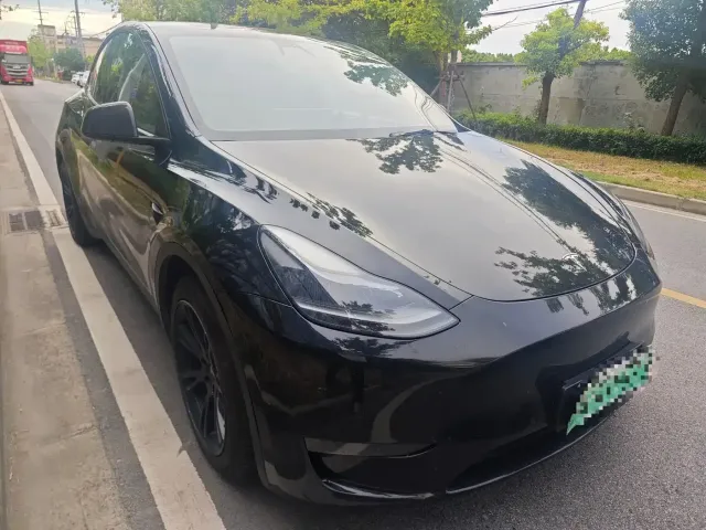 Tesla Model Y — Фото автомобиля 3