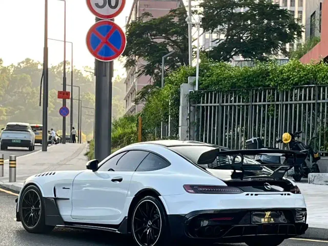 Mercedes-Benz AMG GT 2019 AMG GT — Фото автомобиля 6