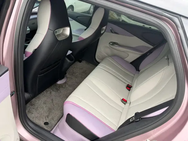 BYD Dolphin — Фото автомобиля 5