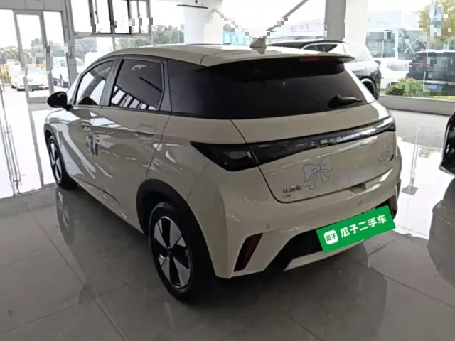 BYD Dolphin — Фото автомобиля 4