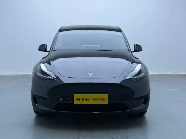 Tesla Model Y — Фото автомобиля 2