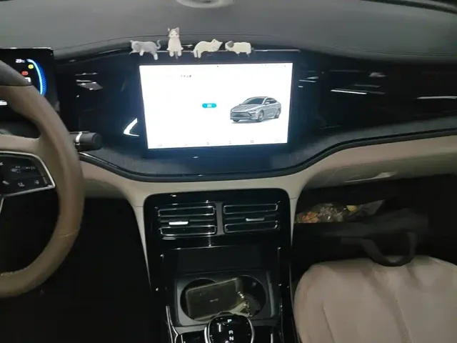 BYD Qin PLUS — Фото автомобиля 12