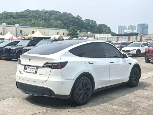 Tesla Model Y — Фото автомобиля 8