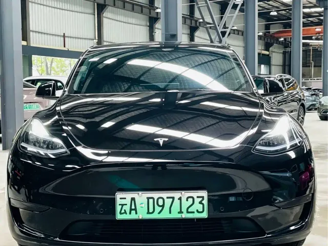 Tesla Model Y — Фото автомобиля 2