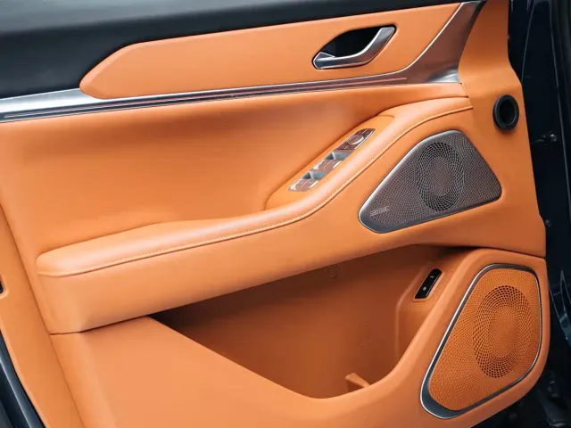 Wey Lanshan — Фото автомобиля 15