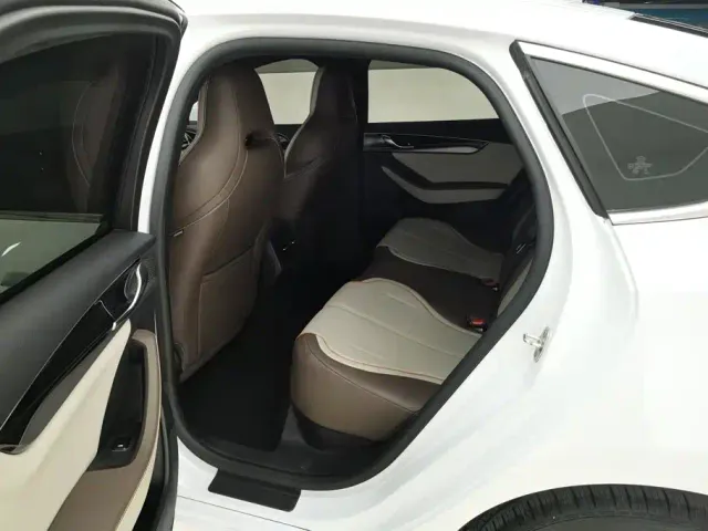 BYD Qin PLUS — Фото автомобиля 11