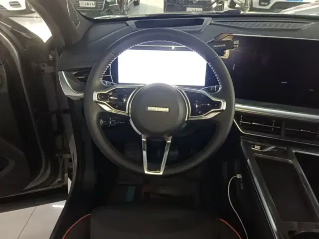 Haval Shenshou — Фото автомобиля 10