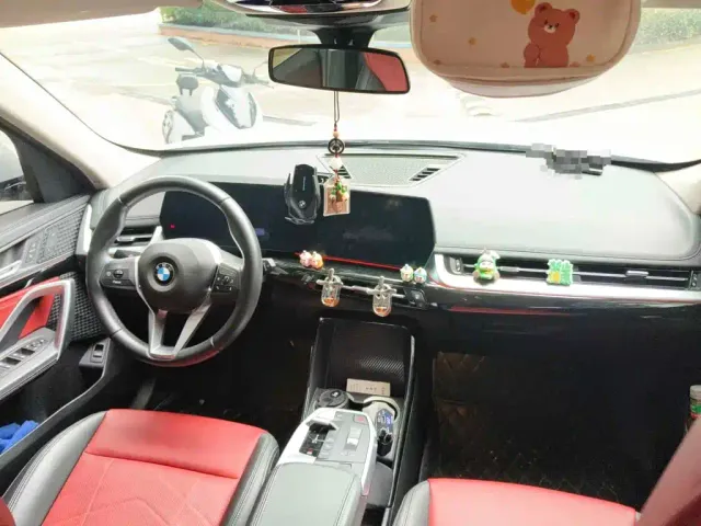 BMW X1 — Фото автомобиля 11