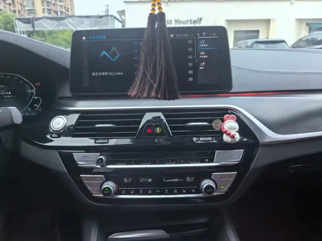 BMW 5 Series — Фото автомобиля 29