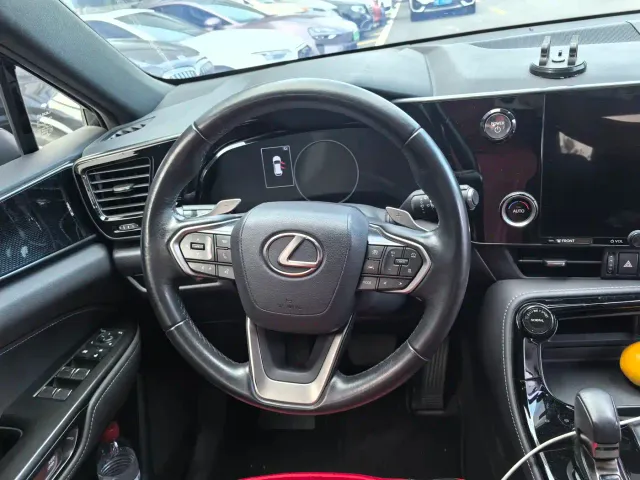 Lexus NX — Фото автомобиля 14