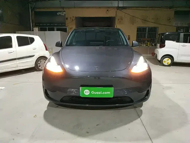 Tesla Model Y — Фото автомобиля 2