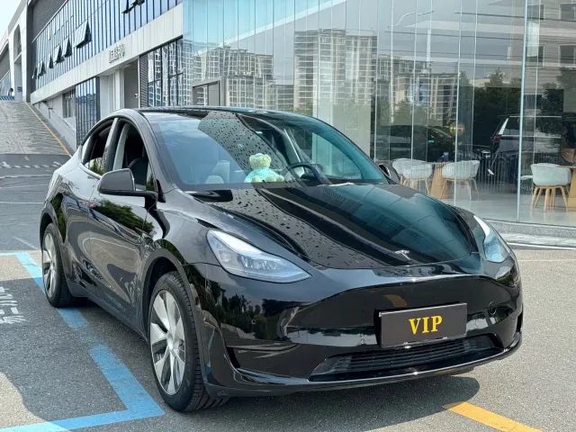 Tesla Model Y — Фото автомобиля 3