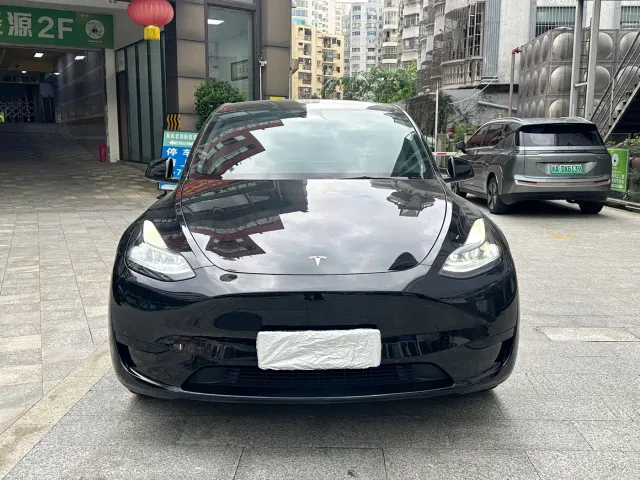 Tesla Model Y — Фото автомобиля 2