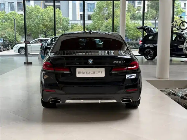 BMW 5 Series — Фото автомобиля 5
