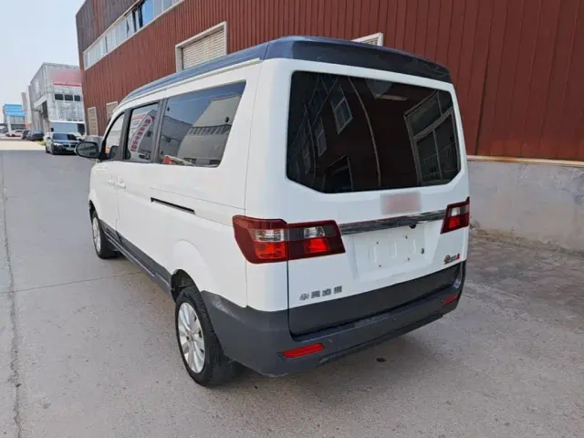 Jinbei Golden Sea Lion M Classic — Фото автомобиля 22