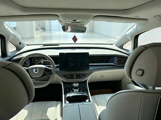 Denza D9 — Фото автомобиля 3