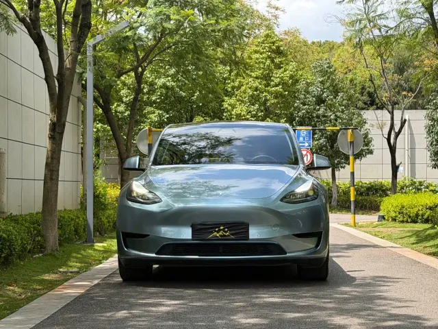 Tesla Model Y — Фото автомобиля 9