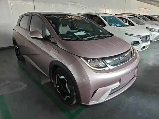 BYD Dolphin — Фото автомобиля 3