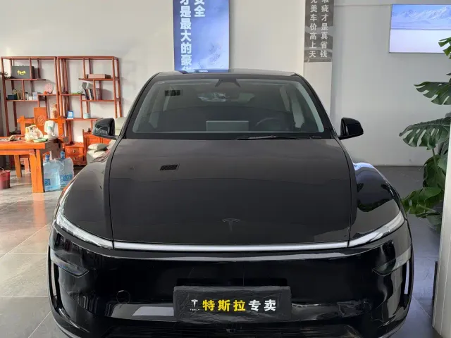Tesla Model Y — Фото автомобиля 2