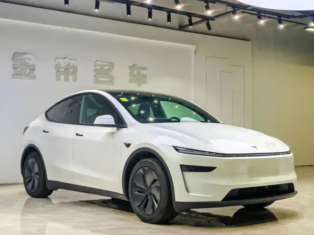 Tesla Model Y — Фото автомобиля 3