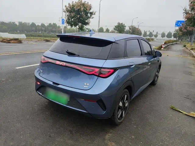 BYD Dolphin 2025 Smart Drive Edition 410km Fashion Version — Фото автомобиля 6