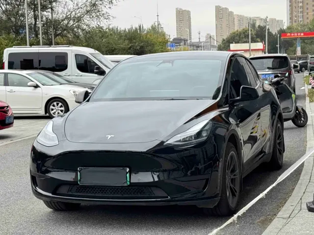 Tesla Model Y — Фото автомобиля 3
