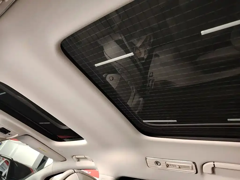 Denza Denza D9 2024 DM-i 980 AWD Prestige — Фото автомобиля 17