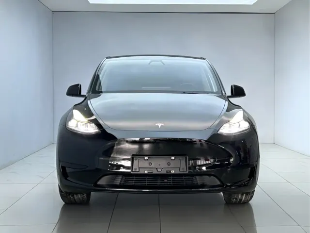 Tesla Model Y — Фото автомобиля 3