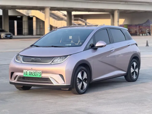 Фотография автомобиля — BYD Dolphin